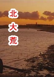 男女裸体做爰猛烈全过程免费视频